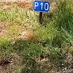 Hébergement de vacances B10 Yemanisi In Der Dordogne By Interhome Champs-Romain